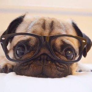 Meet your Posher, Idalia